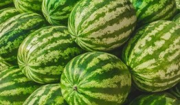 吃瓜每日大赛 吃瓜网官网,揭秘吃瓜网官网精彩瞬间