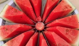 吃瓜每日大赛 吃瓜网官网,揭秘吃瓜网官网精彩瞬间