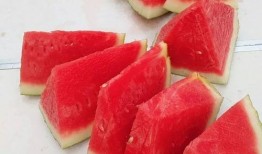 吃瓜每日大赛 吃瓜网官网,揭秘吃瓜网官网精彩瞬间