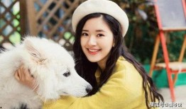 赵露思微博 电影下载,揭秘热门影视背后的精彩瞬间